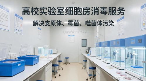 北上廣深高校科研院所生命科學實驗室開荒消毒服務指南
